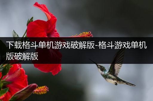 下载格斗单机游戏破解版-格斗游戏单机版破解版