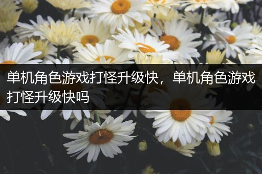 单机角色游戏打怪升级快，单机角色游戏打怪升级快吗