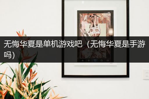 无悔华夏是单机游戏吧（无悔华夏是手游吗）