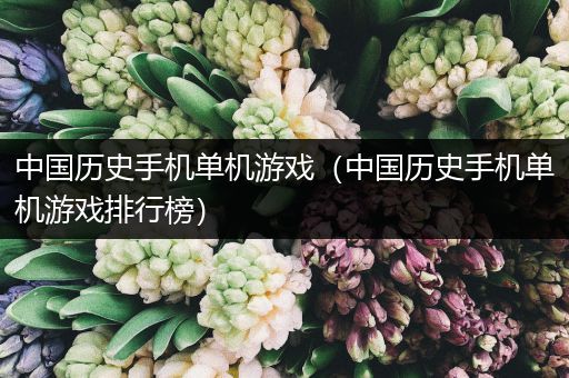 中国历史手机单机游戏（中国历史手机单机游戏排行榜）