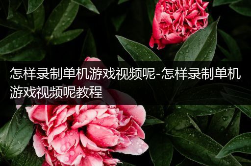 怎样录制单机游戏视频呢-怎样录制单机游戏视频呢教程