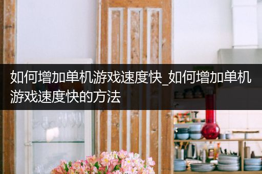 如何增加单机游戏速度快_如何增加单机游戏速度快的方法