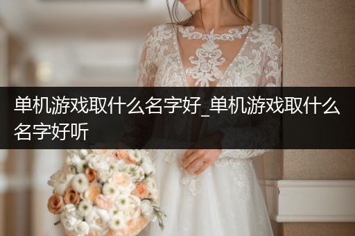 单机游戏取什么名字好_单机游戏取什么名字好听
