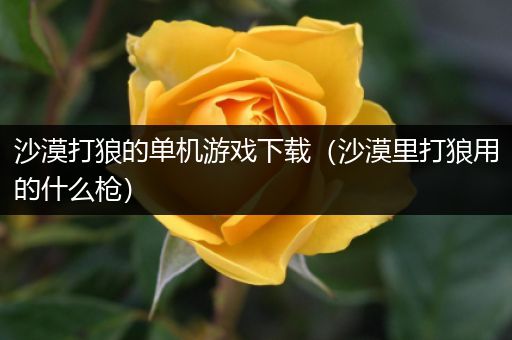 沙漠打狼的单机游戏下载（沙漠里打狼用的什么枪）