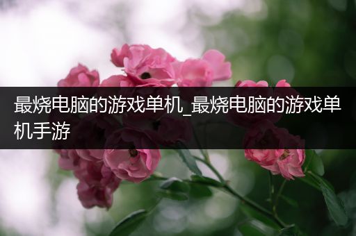 最烧电脑的游戏单机_最烧电脑的游戏单机手游