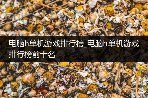 电脑h单机游戏排行榜_电脑h单机游戏排行榜前十名