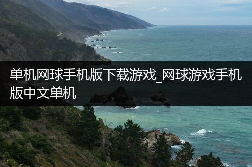 单机网球手机版下载游戏_网球游戏手机版中文单机