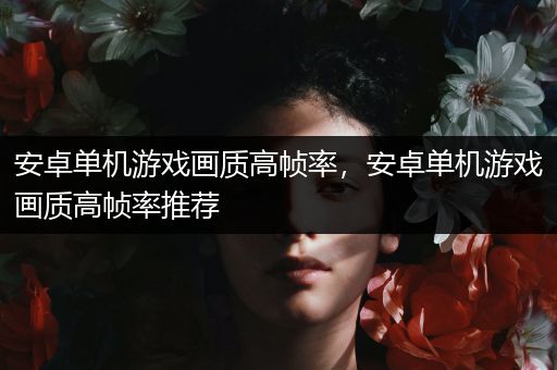 安卓单机游戏画质高帧率，安卓单机游戏画质高帧率推荐