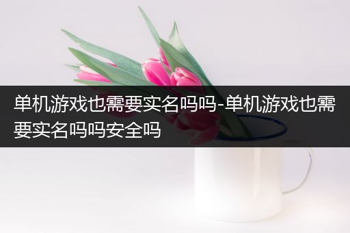 单机游戏也需要实名吗吗-单机游戏也需要实名吗吗安全吗
