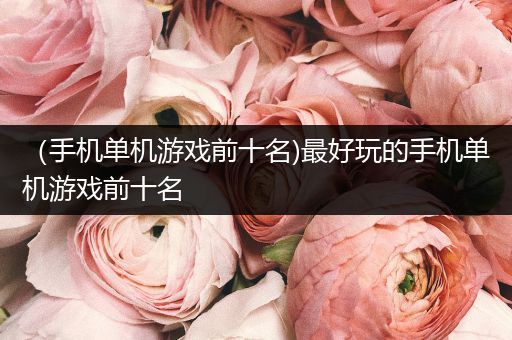 （手机单机游戏前十名)最好玩的手机单机游戏前十名