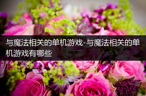 与魔法相关的单机游戏-与魔法相关的单机游戏有哪些