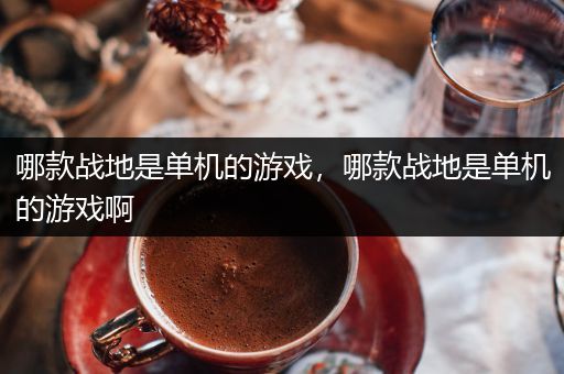 哪款战地是单机的游戏，哪款战地是单机的游戏啊