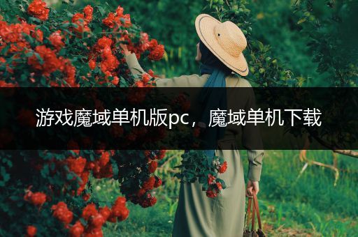 游戏魔域单机版pc，魔域单机下载