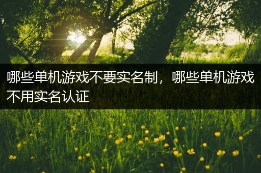 哪些单机游戏不要实名制，哪些单机游戏不用实名认证
