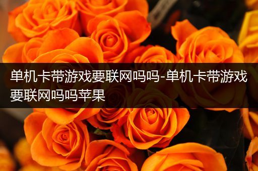 单机卡带游戏要联网吗吗-单机卡带游戏要联网吗吗苹果