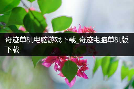 奇迹单机电脑游戏下载_奇迹电脑单机版下载