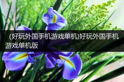 （好玩外国手机游戏单机)好玩外国手机游戏单机版