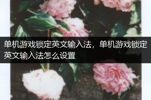 单机游戏锁定英文输入法，单机游戏锁定英文输入法怎么设置