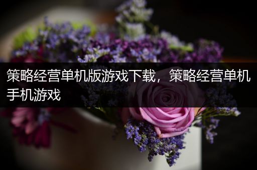 策略经营单机版游戏下载，策略经营单机手机游戏
