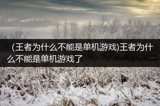 （王者为什么不能是单机游戏)王者为什么不能是单机游戏了