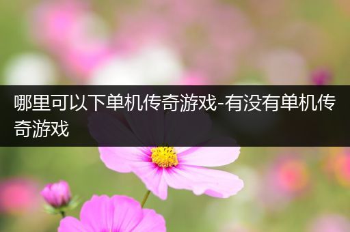 哪里可以下单机传奇游戏-有没有单机传奇游戏