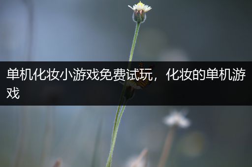 单机化妆小游戏免费试玩，化妆的单机游戏