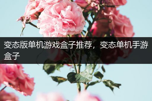 变态版单机游戏盒子推荐，变态单机手游盒子