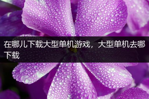 在哪儿下载大型单机游戏，大型单机去哪下载