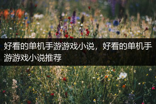 好看的单机手游游戏小说，好看的单机手游游戏小说推荐