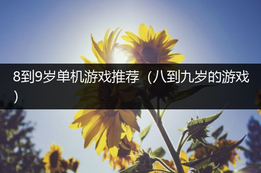 8到9岁单机游戏推荐（八到九岁的游戏）