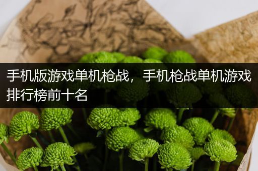 手机版游戏单机枪战，手机枪战单机游戏排行榜前十名