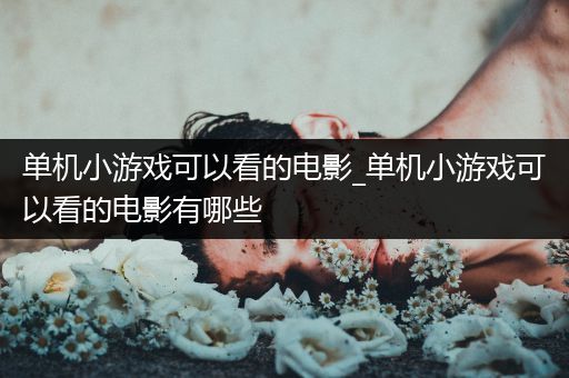 单机小游戏可以看的电影_单机小游戏可以看的电影有哪些