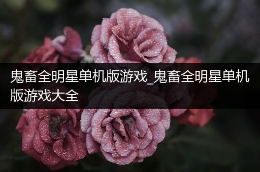 鬼畜全明星单机版游戏_鬼畜全明星单机版游戏大全