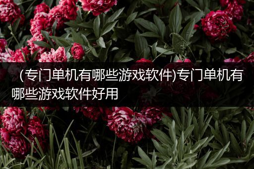 （专门单机有哪些游戏软件)专门单机有哪些游戏软件好用