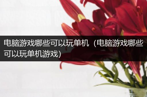 电脑游戏哪些可以玩单机（电脑游戏哪些可以玩单机游戏）