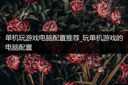 单机玩游戏电脑配置推荐_玩单机游戏的电脑配置