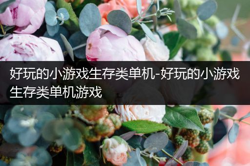 好玩的小游戏生存类单机-好玩的小游戏生存类单机游戏