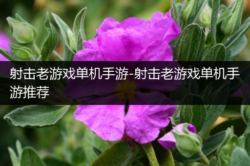 射击老游戏单机手游-射击老游戏单机手游推荐