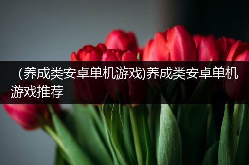 （养成类安卓单机游戏)养成类安卓单机游戏推荐