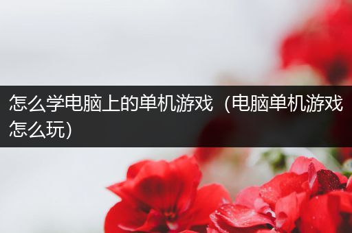 怎么学电脑上的单机游戏（电脑单机游戏怎么玩）