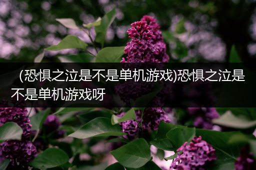 （恐惧之泣是不是单机游戏)恐惧之泣是不是单机游戏呀