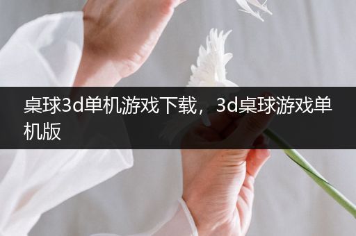 桌球3d单机游戏下载，3d桌球游戏单机版