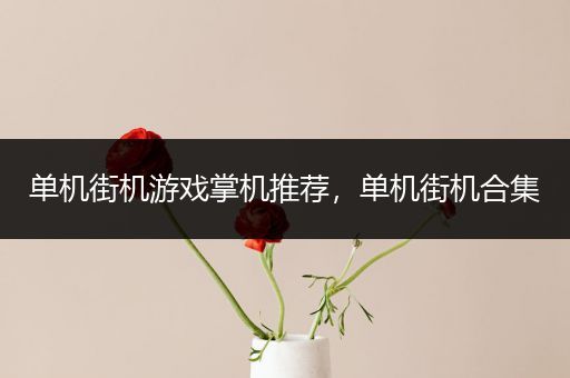 单机街机游戏掌机推荐，单机街机合集