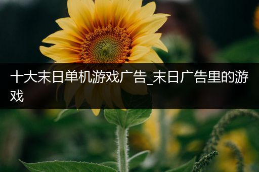 十大末日单机游戏广告_末日广告里的游戏