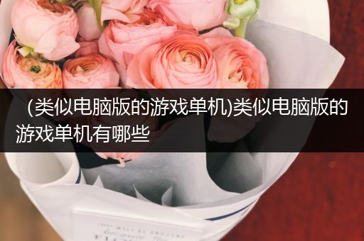 （类似电脑版的游戏单机)类似电脑版的游戏单机有哪些
