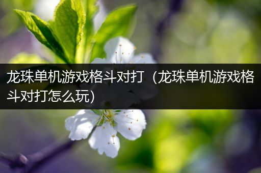 龙珠单机游戏格斗对打（龙珠单机游戏格斗对打怎么玩）