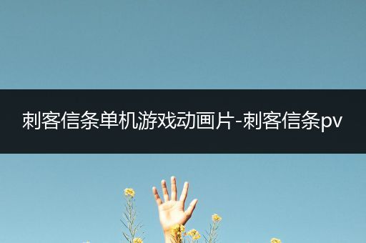 刺客信条单机游戏动画片-刺客信条pv
