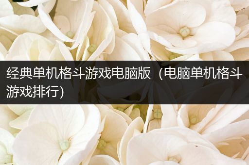 经典单机格斗游戏电脑版（电脑单机格斗游戏排行）