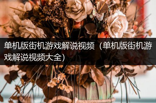 单机版街机游戏解说视频（单机版街机游戏解说视频大全）
