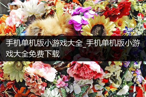 手机单机版小游戏大全_手机单机版小游戏大全免费下载